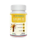 Curcumin 95